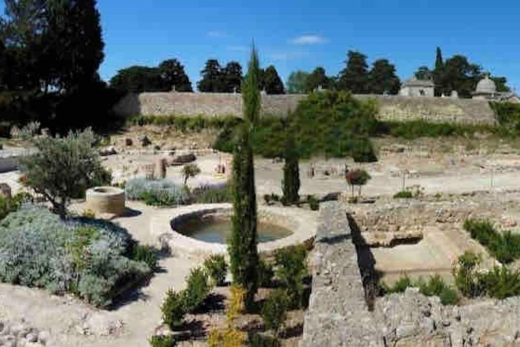 Ferienwohnung Soleil Sucre T2 Centre Historique De Narbonne Exterior foto